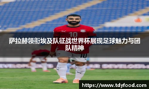 ld乐动首页